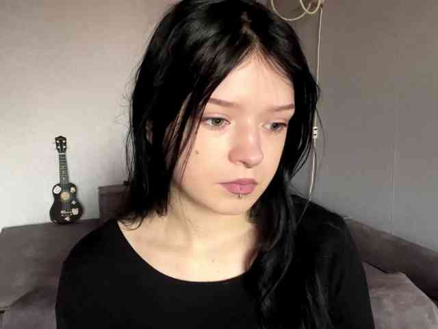 Model: altbarbiesee