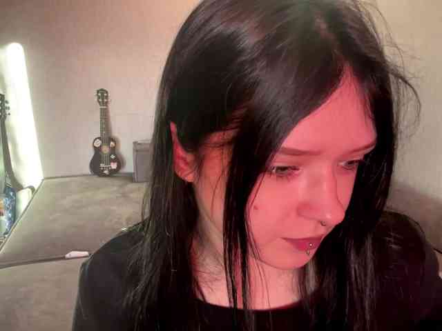 Model: altbarbiesee