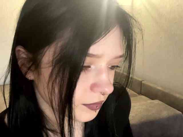 Model: altbarbiesee