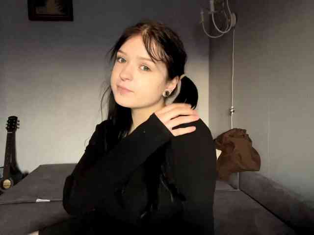 Model: altbarbiesee