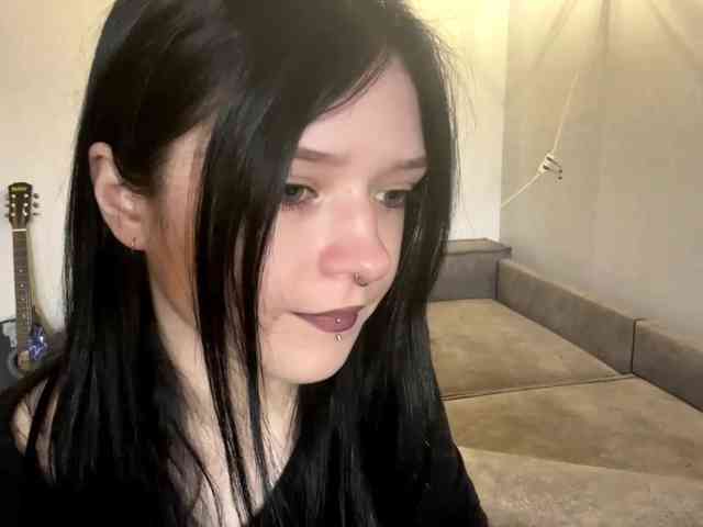 Model: altbarbiesee