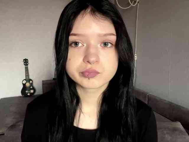Model: altbarbiesee