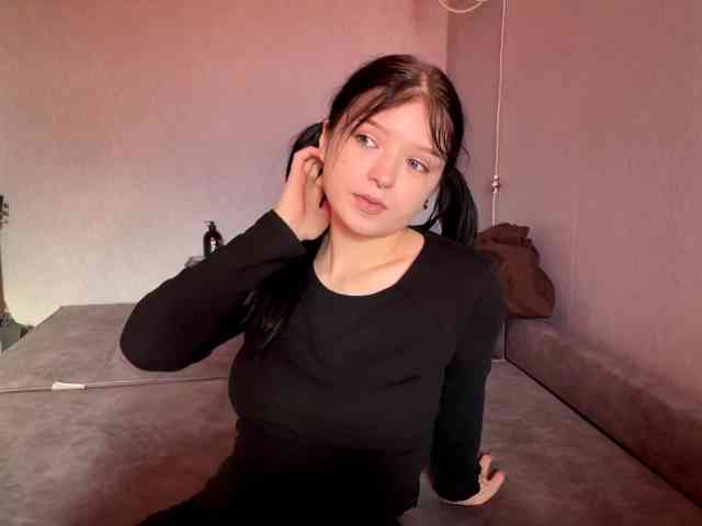 Model: altbarbiesee