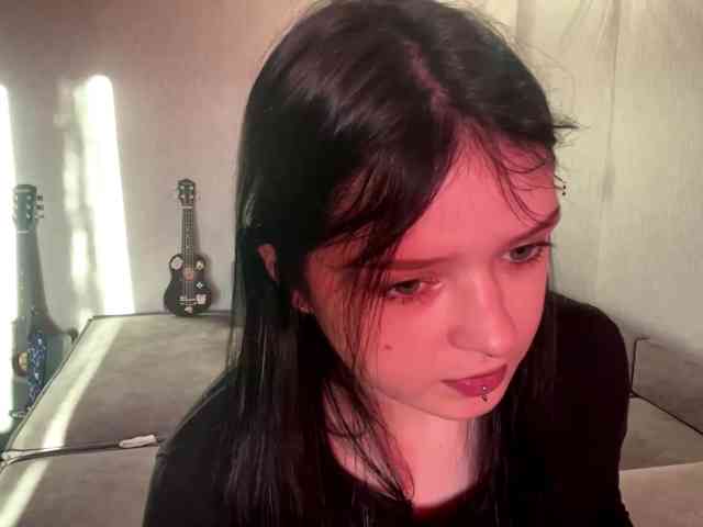 Model: altbarbiesee
