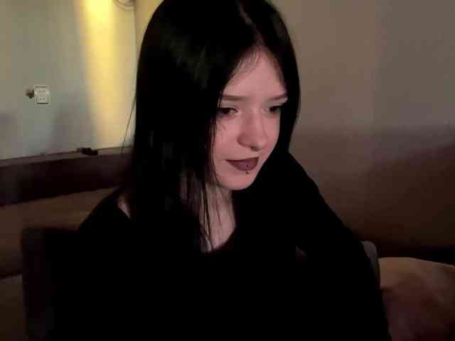Model: altbarbiesee