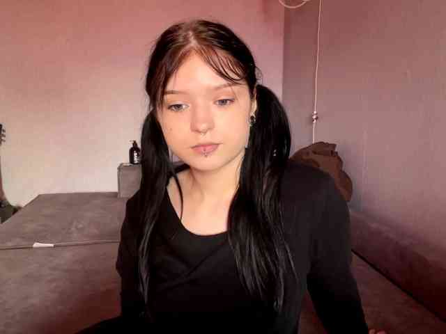 Model: altbarbiesee
