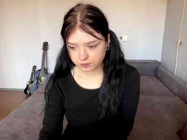 altbarbiesee webcam