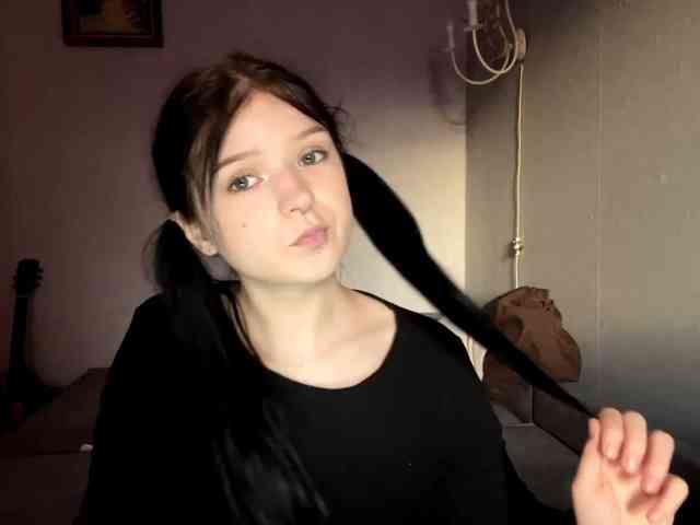 Model: altbarbiesee