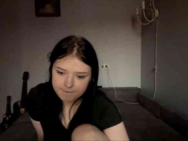 altbarbiesee webcam