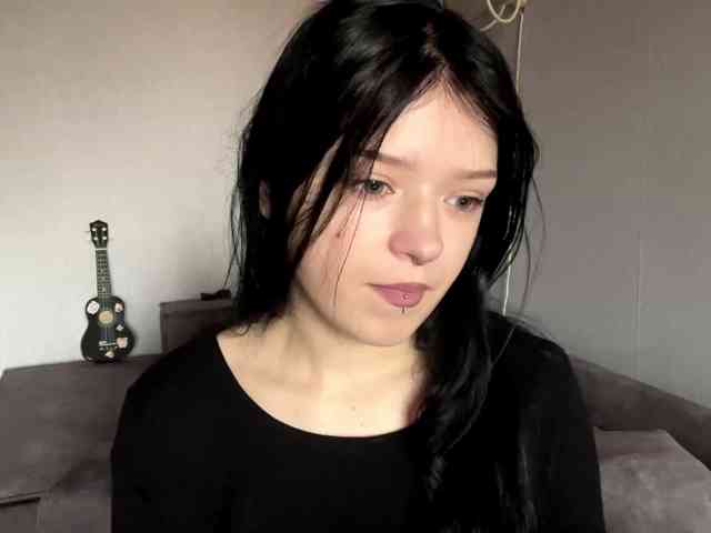 Model: altbarbiesee