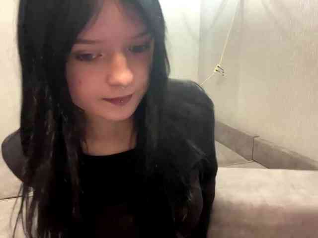 Model: altbarbiesee