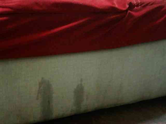 Amandalove11 webcam
