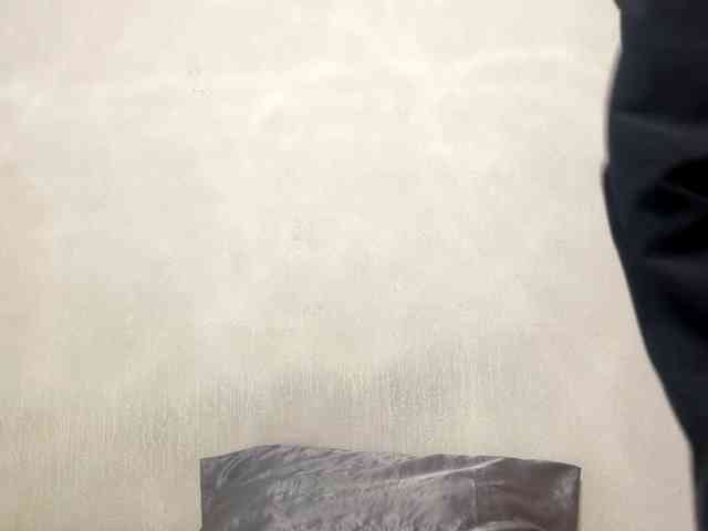 FayZalk webcam