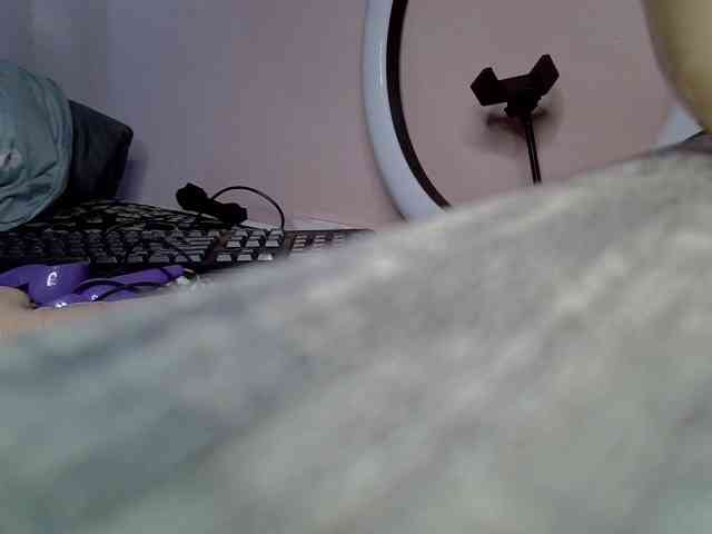 PetiteSassy webcam