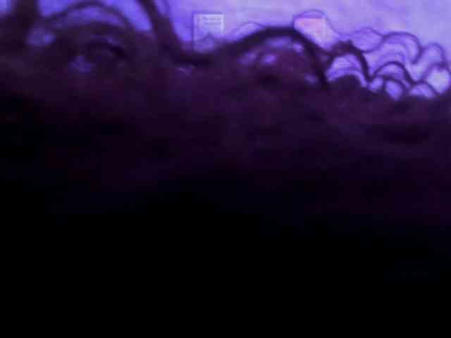 MaryWells webcam