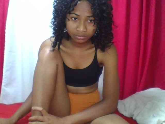 Modèle: ERICAHJS