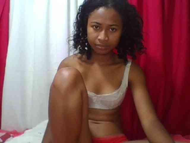 Modèle: ERICAHJS