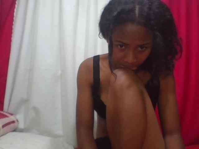 Modèle: ERICAHJS