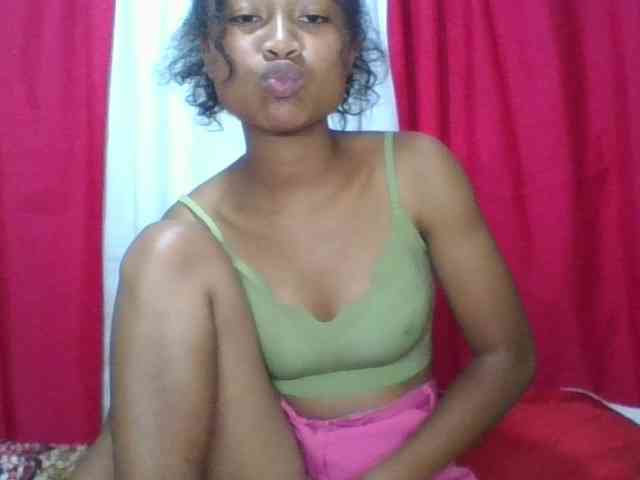 Modèle: ERICAHJS