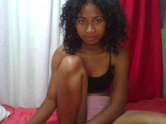 Modèle: ERICAHJS
