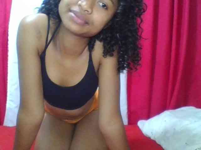 Modèle: ERICAHJS