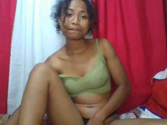 Modèle: ERICAHJS