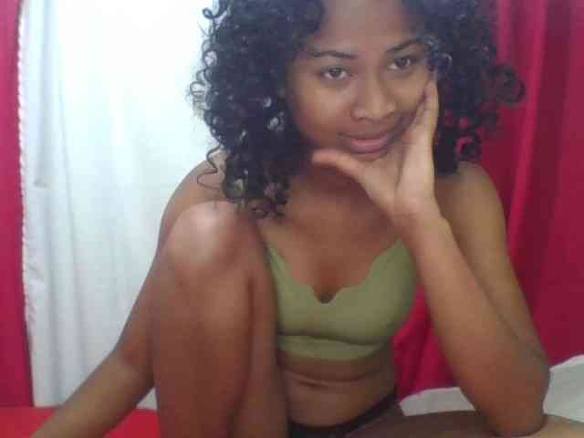 Modèle: ERICAHJS