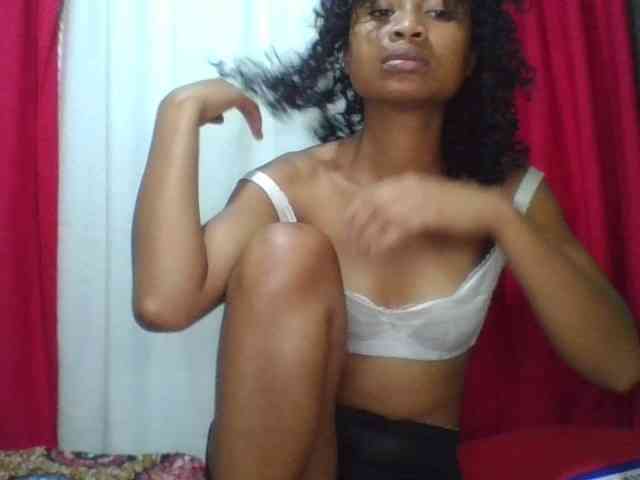Modèle: ERICAHJS