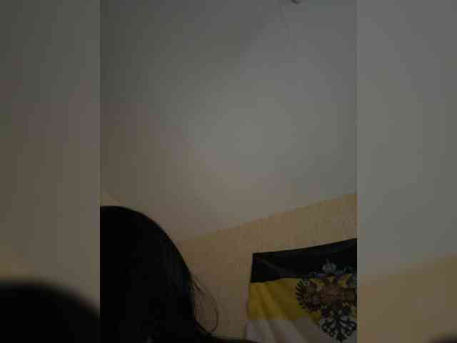 Likusyazaika241003 webcam