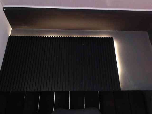 Twinkcam1