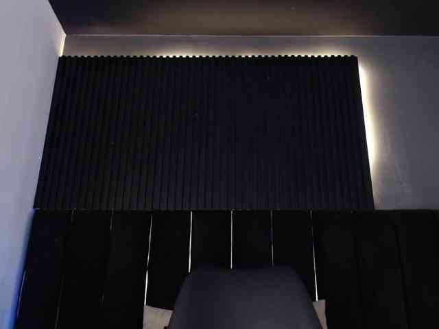 Twinkcam1