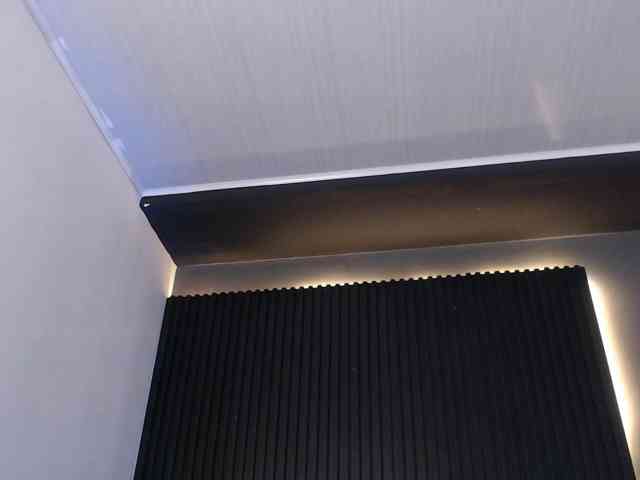 Twinkcam1
