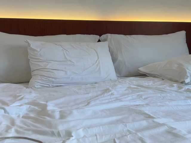 sofia-rhodes live cam on BongaCams