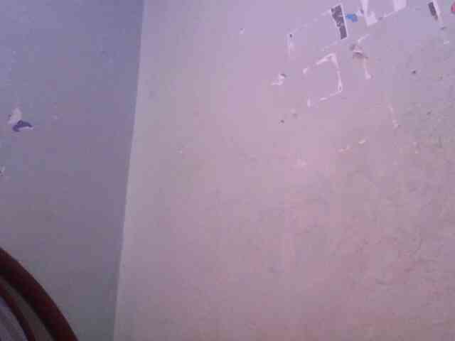 Urbabyregine webcam