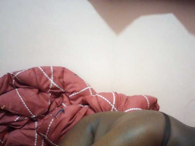 Ailysylvia