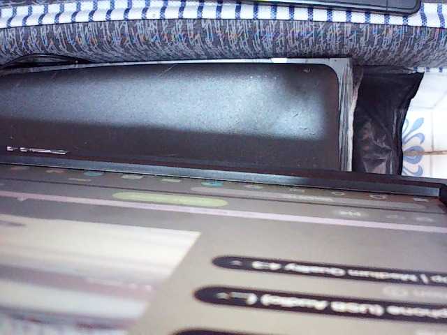 Hornysylvia