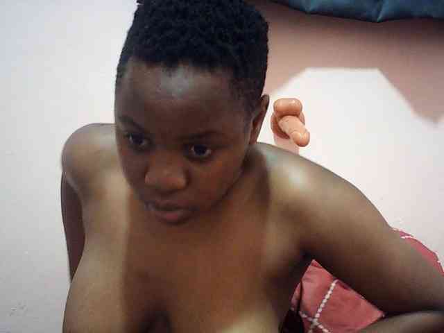 Ailysylvia