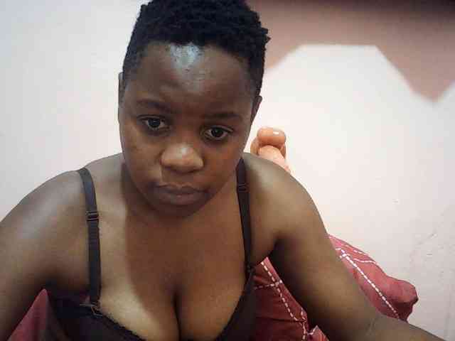 Ailysylvia