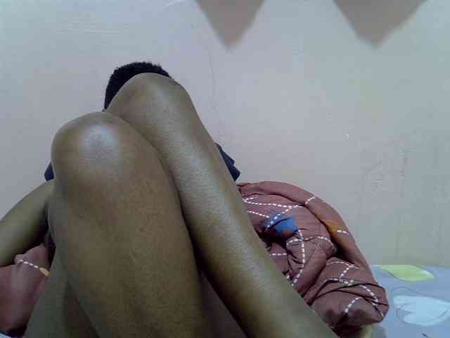 Ailysylvia