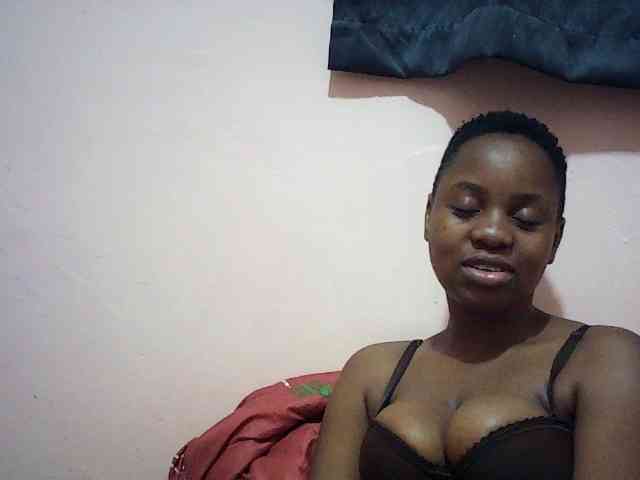 Ailysylvia