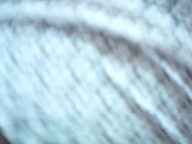 Hornysylvia Hornysylvia