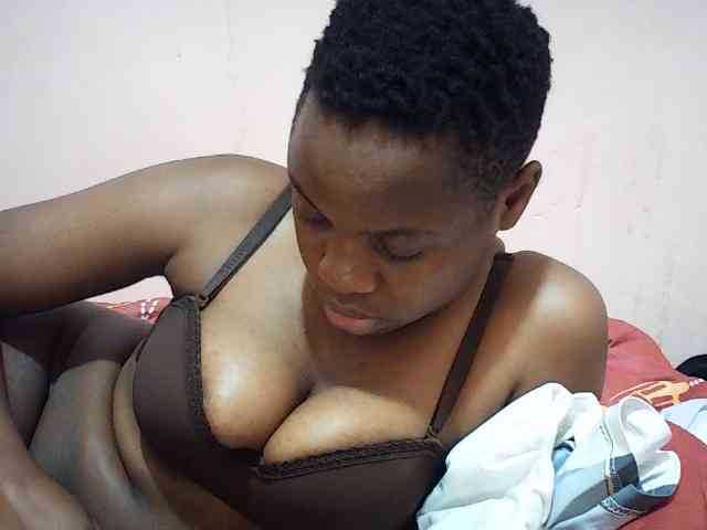 Ailysylvia webcam