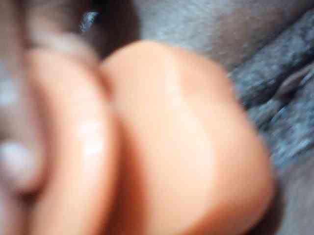Ailysylvia