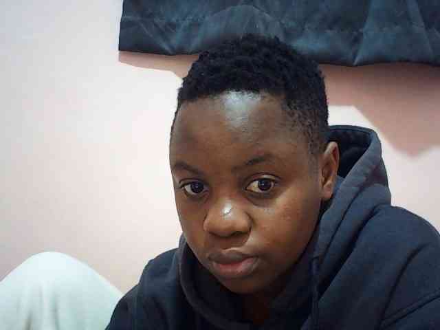 Ailysylvia