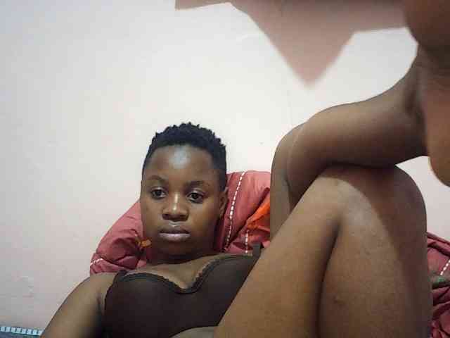 Ailysylvia