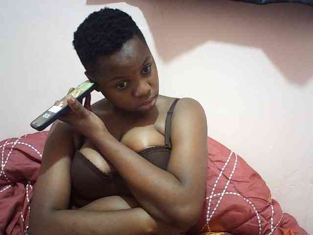 Ailysylvia