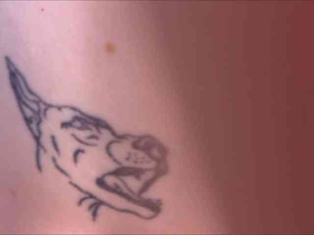 goldieelis live female cam on bongacams