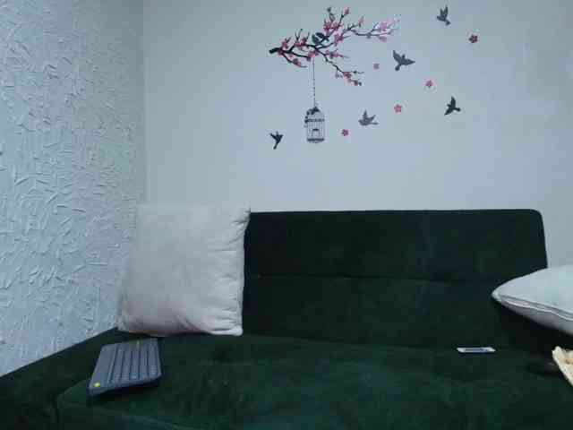 AnaCar webcam