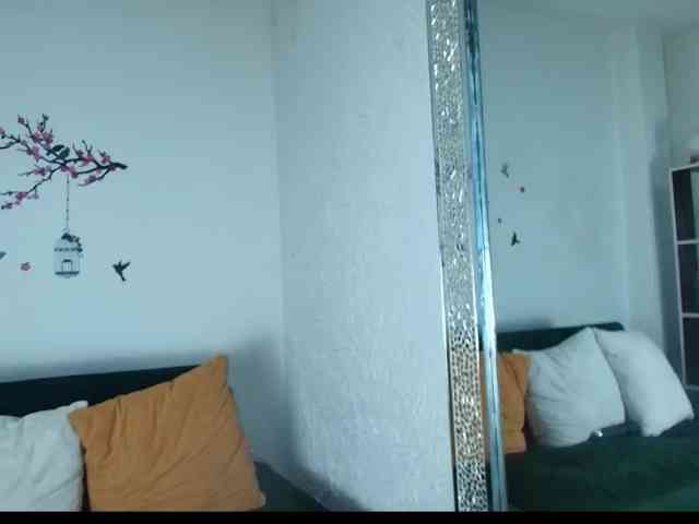 AnaCar webcam