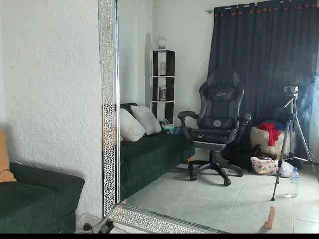 AnaCar webcam